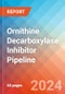 Ornithine Decarboxylase (ODC) Inhibitor - Pipeline Insight, 2024 - Product Image