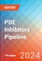 PDE Inhibitors - Pipeline Insight, 2024 - Product Thumbnail Image