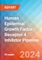 Human Epidermal Growth Factor Receptor 4 (HER-4 or ErbB-4) Inhibitor - Pipeline Insight, 2024 - Product Image