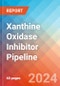 Xanthine Oxidase Inhibitor - Pipeline Insight, 2024 - Product Image
