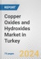 Copper Oxides and Hydroxides Market in Turkey: Business Report 2024 - Product Image