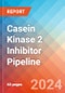 Casein Kinase 2 Inhibitor - Pipeline Insight, 2024 - Product Thumbnail Image