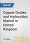 Copper Oxides and Hydroxides Market in United Kingdom: Business Report 2024 - Product Image