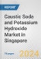 Caustic Soda and Potassium Hydroxide Market in Singapore: Business Report 2024 - Product Image