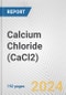 Calcium Chloride (CaCl2): 2024 World Market Outlook up to 2033 - Product Thumbnail Image