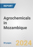 Agrochemicals in Mozambique: Business Report 2024- Product Image