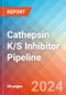Cathepsin K/S Inhibitor - Pipeline Insight, 2024 - Product Thumbnail Image