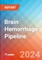 Brain Hemorrhage - Pipeline Insight, 2024 - Product Image