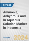 Ammonia, Anhydrous And In Aqueous Solution Market in Indonesia: Business Report 2024- Product Image