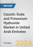 Caustic Soda and Potassium Hydroxide Market in United Arab Emirates: Business Report 2024- Product Image