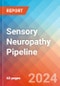 Sensory Neuropathy - Pipeline Insight, 2024 - Product Image