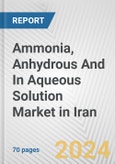 Ammonia, Anhydrous And In Aqueous Solution Market in Iran: Business Report 2024- Product Image