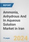 Ammonia, Anhydrous And In Aqueous Solution Market in Iran: Business Report 2024 - Product Image
