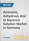 Ammonia, Anhydrous And In Aqueous Solution Market in Germany: Business Report 2024- Product Image