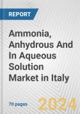 Ammonia, Anhydrous And In Aqueous Solution Market in Italy: Business Report 2024- Product Image
