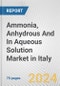 Ammonia, Anhydrous And In Aqueous Solution Market in Italy: Business Report 2024 - Product Image