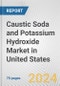 Caustic Soda and Potassium Hydroxide Market in United States: Business Report 2024 - Product Image