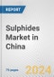 Sulphides Market in China: Business Report 2024 - Product Image