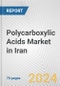 Polycarboxylic Acids Market in Iran: Business Report 2024 - Product Image