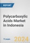 Polycarboxylic Acids Market in Indonesia: Business Report 2024 - Product Image
