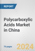 Polycarboxylic Acids Market in China: Business Report 2024- Product Image