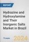 Hydrazine and Hydroxylamine and Their Inorganic Salts Market in Brazil: Business Report 2024 - Product Thumbnail Image