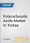 Polycarboxylic Acids Market in Turkey: Business Report 2024 - Product Image