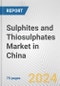 Sulphites and Thiosulphates Market in China: Business Report 2024 - Product Image