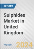 Sulphides Market in United Kingdom: Business Report 2024- Product Image