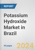 Potassium Hydroxide Market in Brazil: 2017-2023 Review and Forecast to 2027- Product Image
