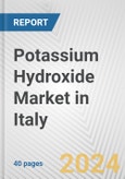 Potassium Hydroxide Market in Italy: 2017-2023 Review and Forecast to 2027- Product Image