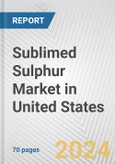 Sublimed Sulphur Market in United States: Business Report 2024- Product Image