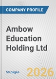Ambow Education Holding Ltd. Fundamental Company Report Including Financial, SWOT, Competitors and Industry Analysis- Product Image