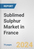 Sublimed Sulphur Market in France: Business Report 2024- Product Image