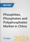 Phosphites, Phosphates and Polyphosphates Market in China: Business Report 2024- Product Image