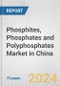 Phosphites, Phosphates and Polyphosphates Market in China: Business Report 2024 - Product Image