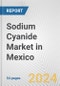 Sodium Cyanide Market in Mexico: Business Report 2024 - Product Image
