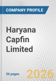 Haryana Capfin Limited Fundamental Company Report Including Financial, SWOT, Competitors and Industry Analysis- Product Image