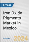 Iron Oxide Pigments Market in Mexico: Business Report 2024- Product Image