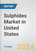 Sulphides Market in United States: Business Report 2024- Product Image