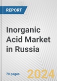 Inorganic Acid Market in Russia: Business Report 2024- Product Image