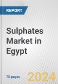 Sulphates Market in Egypt: Business Report 2024- Product Image