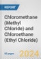 Chloromethane (Methyl Chloride) and Chloroethane (Ethyl Chloride): European Union Market Outlook 2023-2027 - Product Image