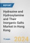 Hydrazine and Hydroxylamine and Their Inorganic Salts Market in Hong Kong: Business Report 2024 - Product Thumbnail Image