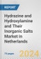 Hydrazine and Hydroxylamine and Their Inorganic Salts Market in Netherlands: Business Report 2024 - Product Thumbnail Image