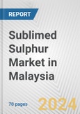 Sublimed Sulphur Market in Malaysia: Business Report 2024- Product Image