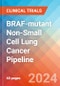 BRAF-mutant Non-Small Cell Lung Cancer (BRAF + NSCLC) - Pipeline Insight, 2024 - Product Image