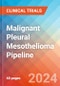 Malignant Pleural Mesothelioma - Pipeline Insight, 2024 - Product Thumbnail Image