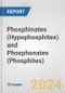 Phosphinates (Hypophosphites) and Phosphonates (Phosphites): European Union Market Outlook 2023-2027 - Product Image