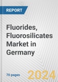 Fluorides, Fluorosilicates Market in Germany: Business Report 2024- Product Image
